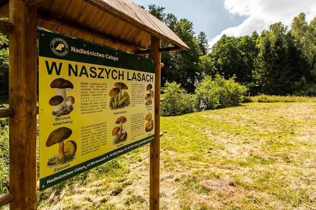 Gospodarstwo Nad Jeziorem Zalom  Exterior foto