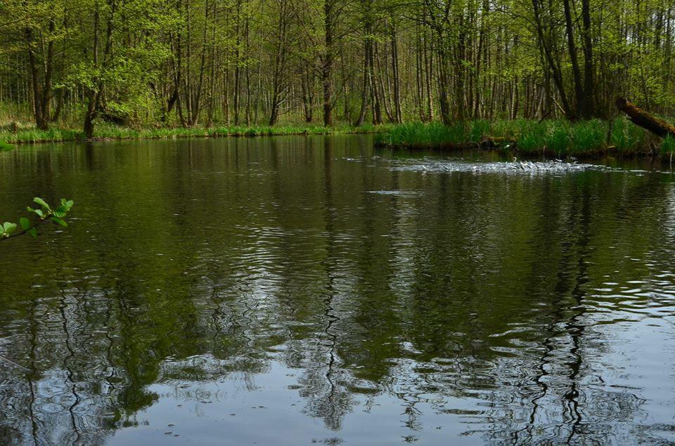 Gospodarstwo Nad Jeziorem Zalom  Exterior foto